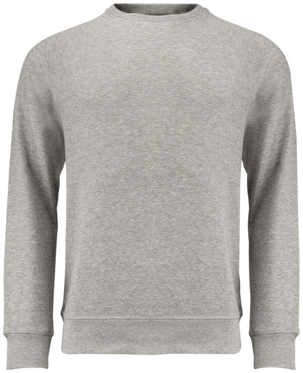 Raglan Sweatshirt Junior