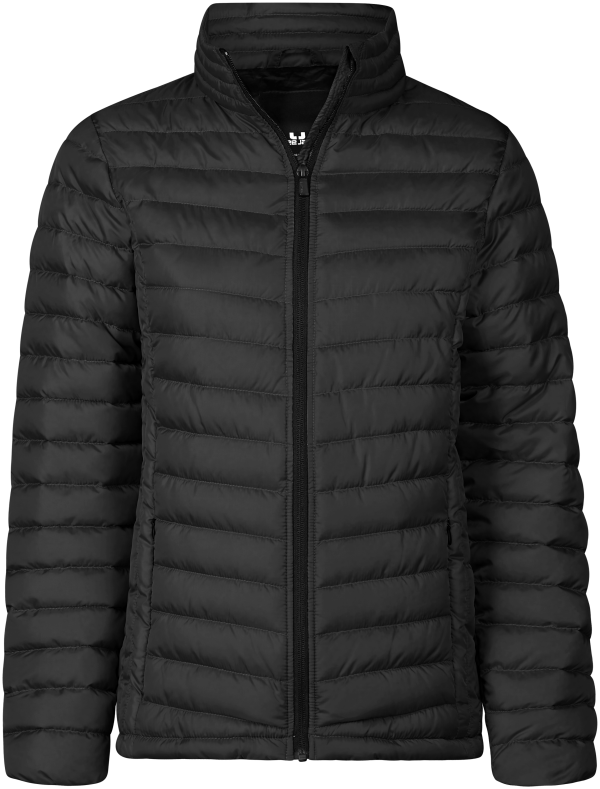 Women's Zepelin Jacket