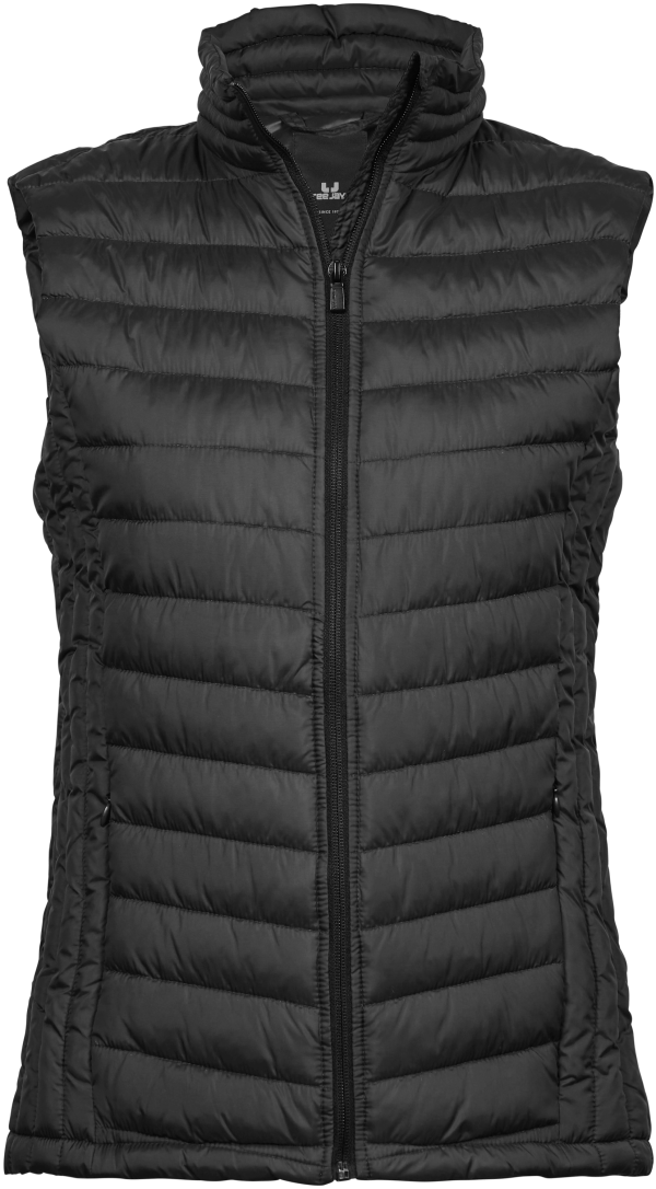 Women's Zepelin Bodywarmer