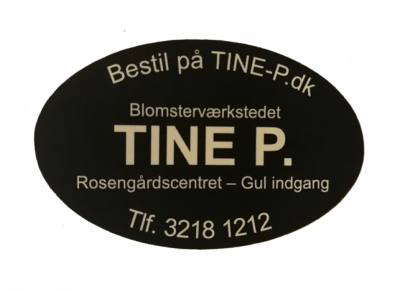 Tine-p-uai-1080x1080-1-2.png