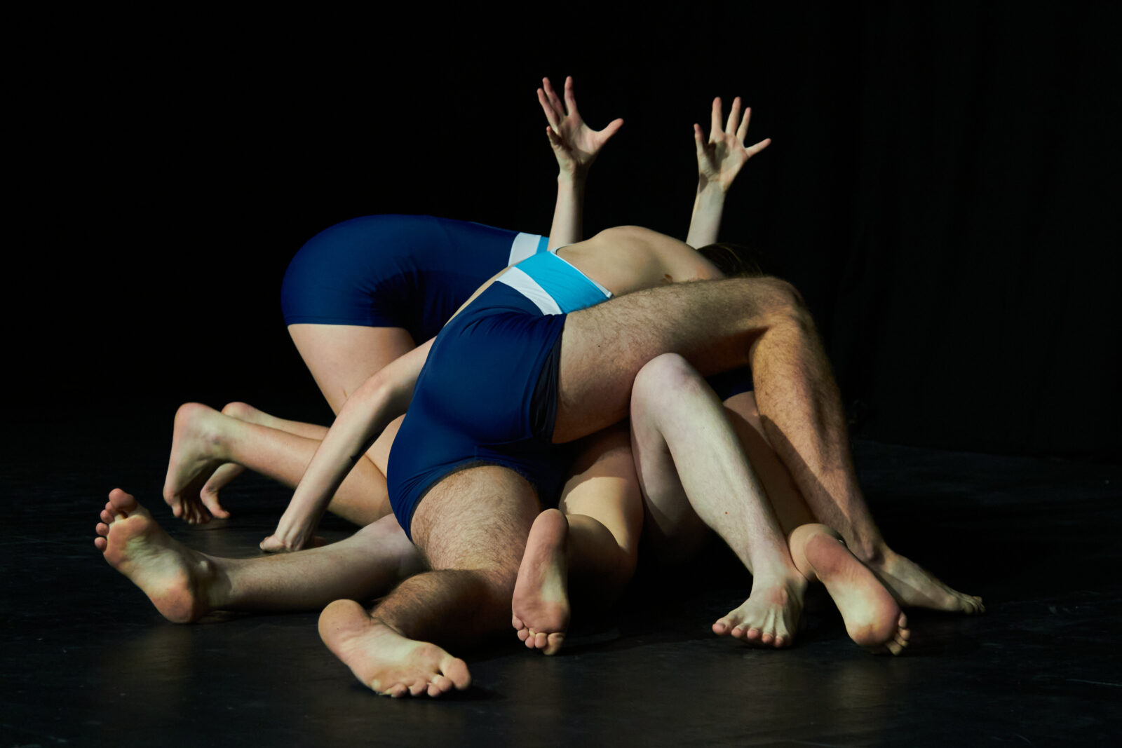 Finalisterne 5-6 Løg