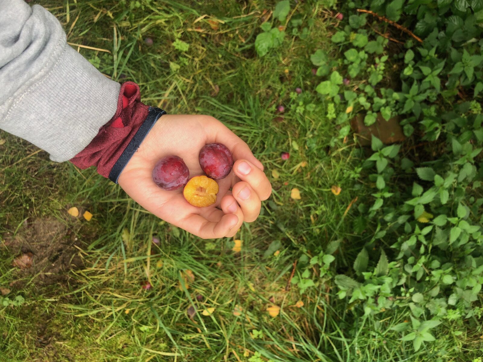 Fotos Arendse Reeh-Mogensen