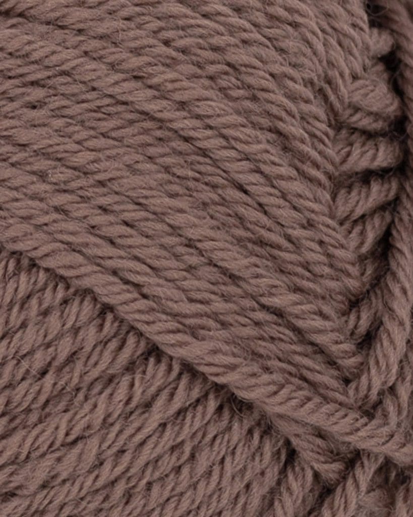 11153161_Eikenott_300dpi_Close-up 11153161_Eikenott_300dpi_Close-up