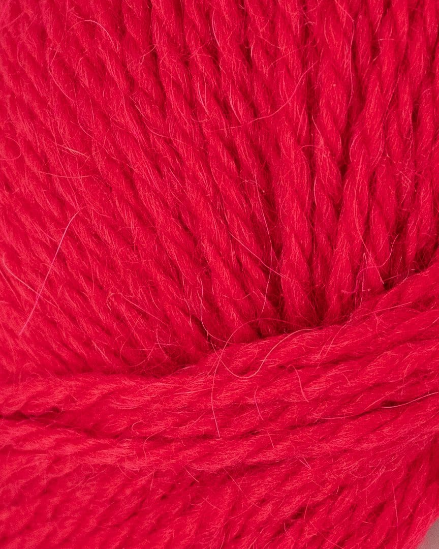 505-valmue-2 505-valmue-2