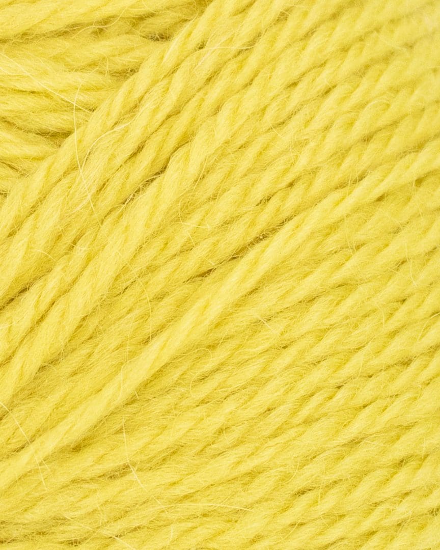 507-valmue-2 507-valmue-2