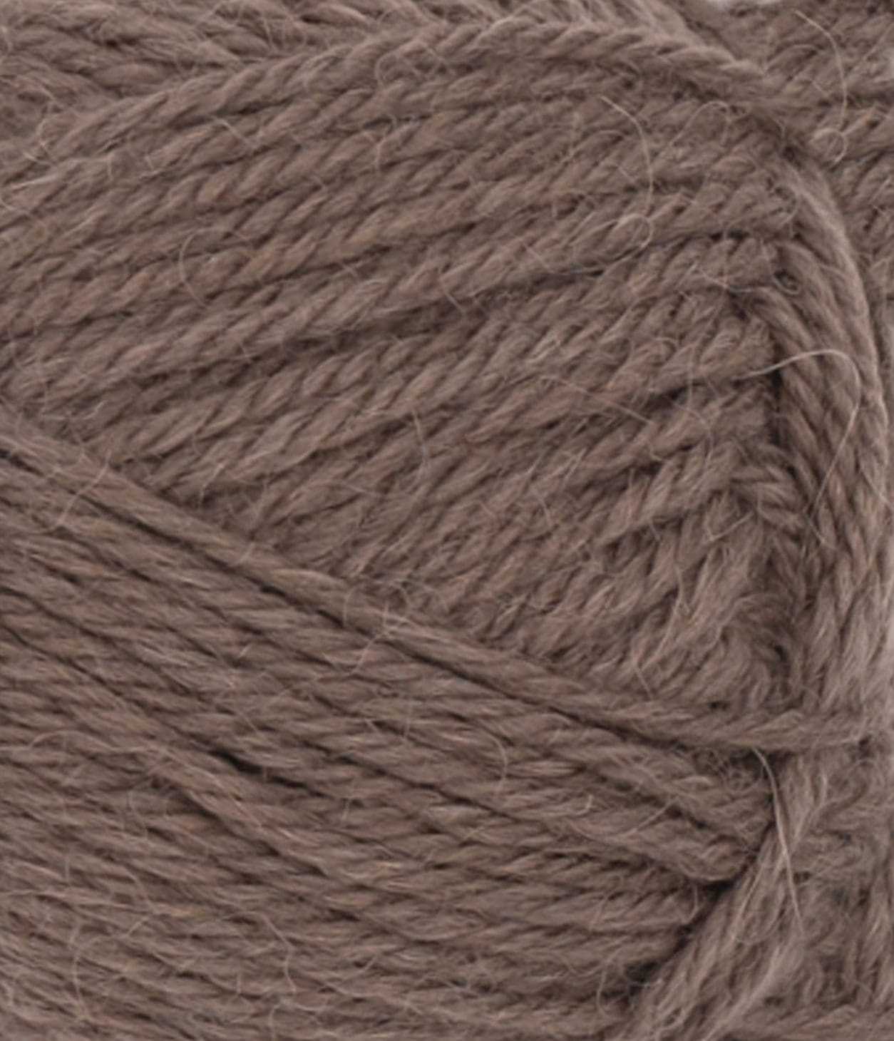 11713161_Eikenott_300dpi_Close-up 11713161_Eikenott_300dpi_Close-up