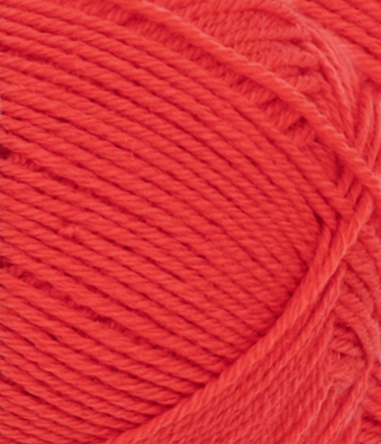 11124008_Poppy_300dpi_Close-up 11124008_Poppy_300dpi_Close-up