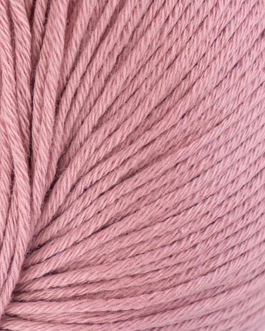 158-bio-blomsterfroe-2 158-bio-blomsterfroe-2