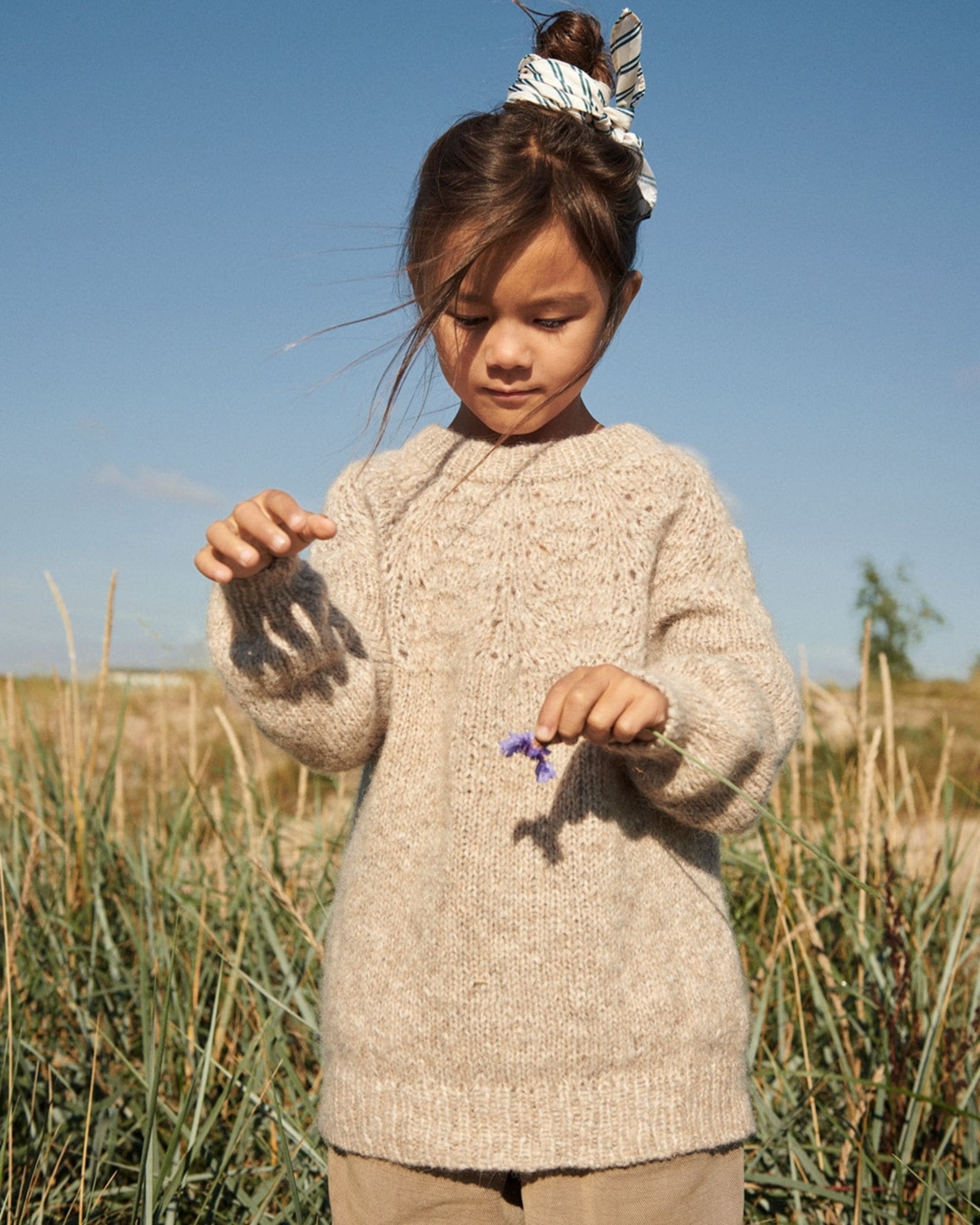 Peacock_lille3 Peacock_lille3