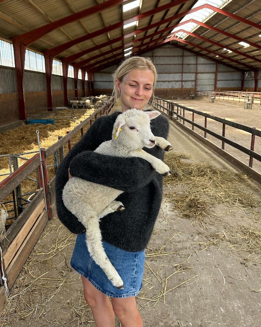 sonjasweatermedlam_1500x1500 sonjasweatermedlam_1500x1500