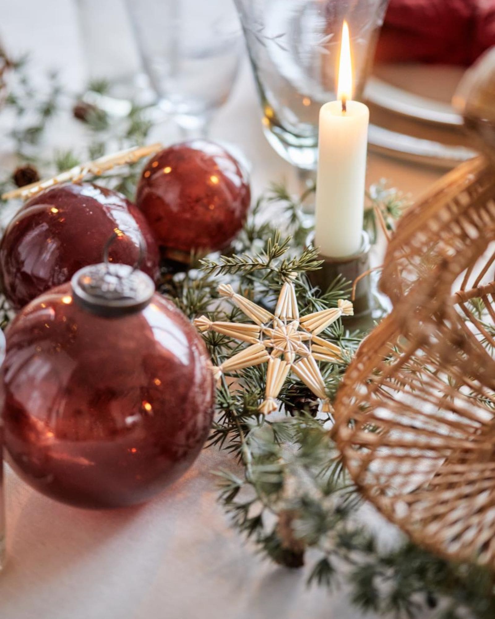 Cedertræ_m_kogler (2) Cedertræ_m_kogler (2)