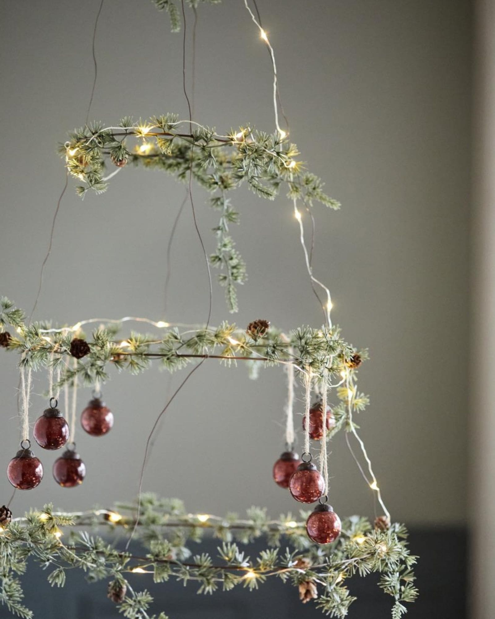 Cedertræ_m_kogler (4) Cedertræ_m_kogler (4)