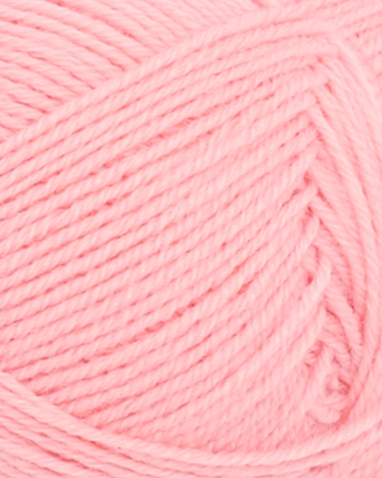 Blosso-Sunday Blosso-Sunday